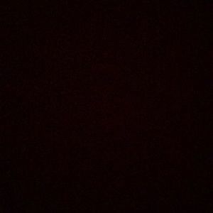 Meet your Posher, Priya